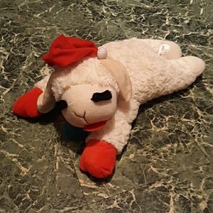 Dog Toy